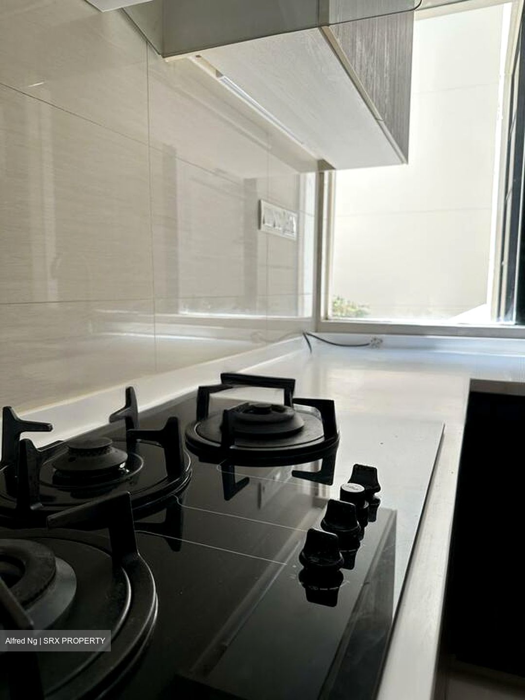 Pinewood Gardens (D10), Condominium #486169091